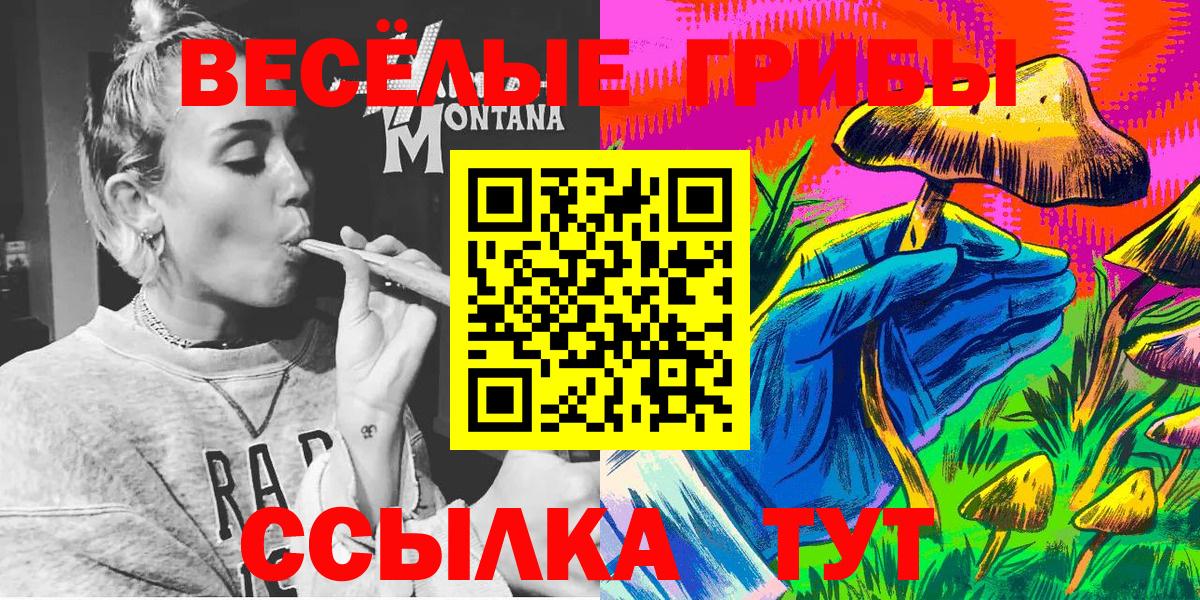 Новочеркасск  Псилоцибиновые грибы Magic Shrooms  Вход с VPN 